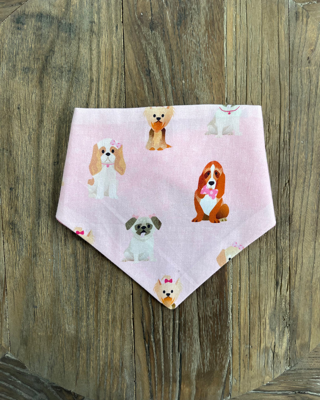 Pawfect Pooch Reversible Bandana