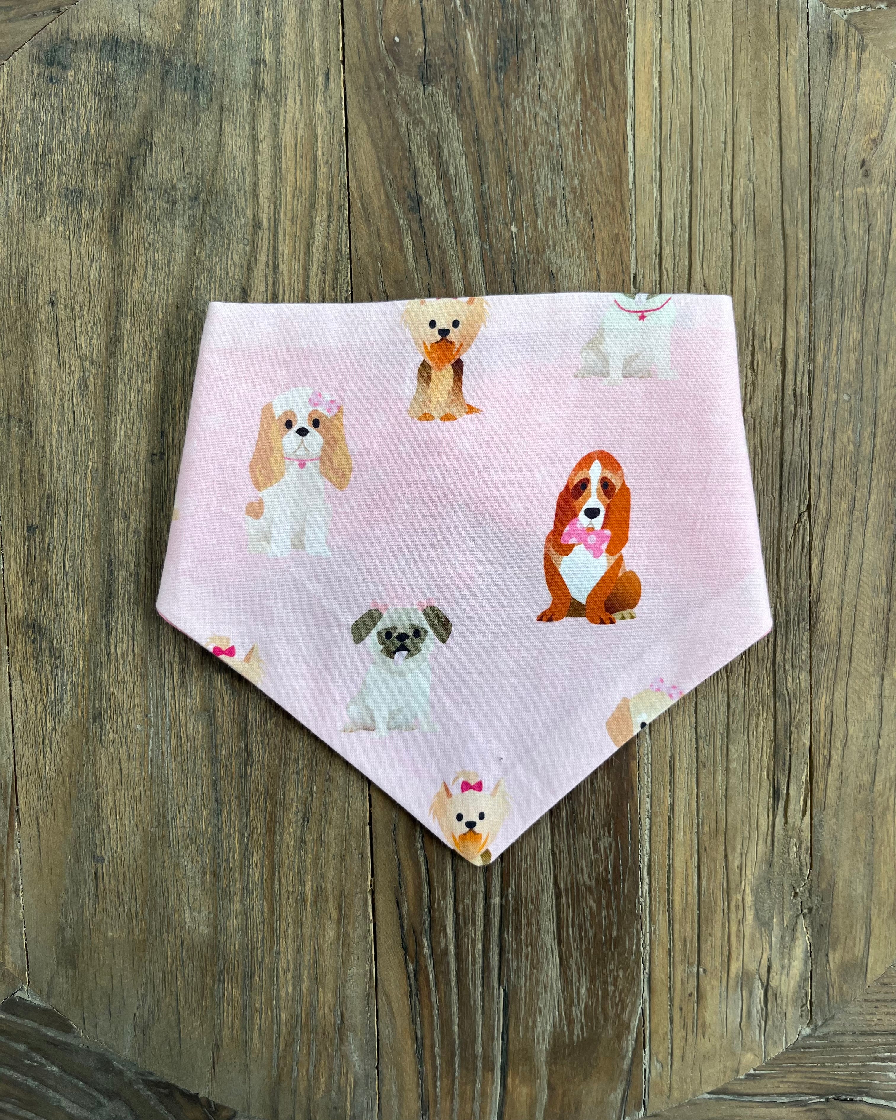 Pawfect Pooch Reversible Bandana