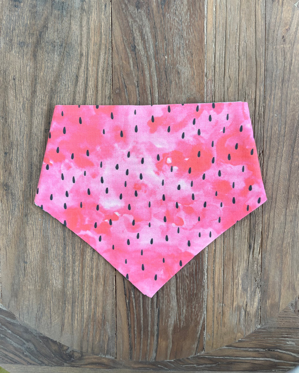 One in a Melon Reversible Bandana