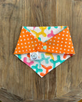 Party Animal Reversible Bandana