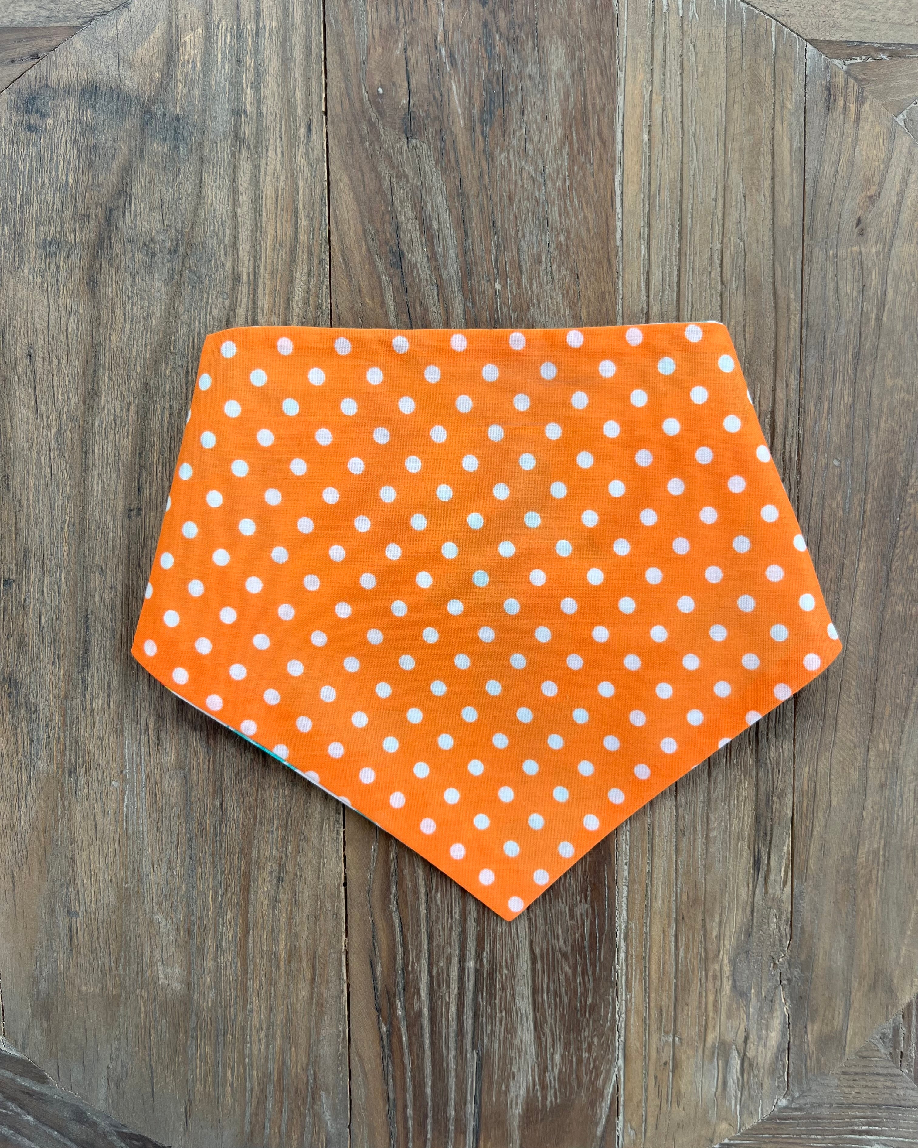 Party Animal Reversible Bandana