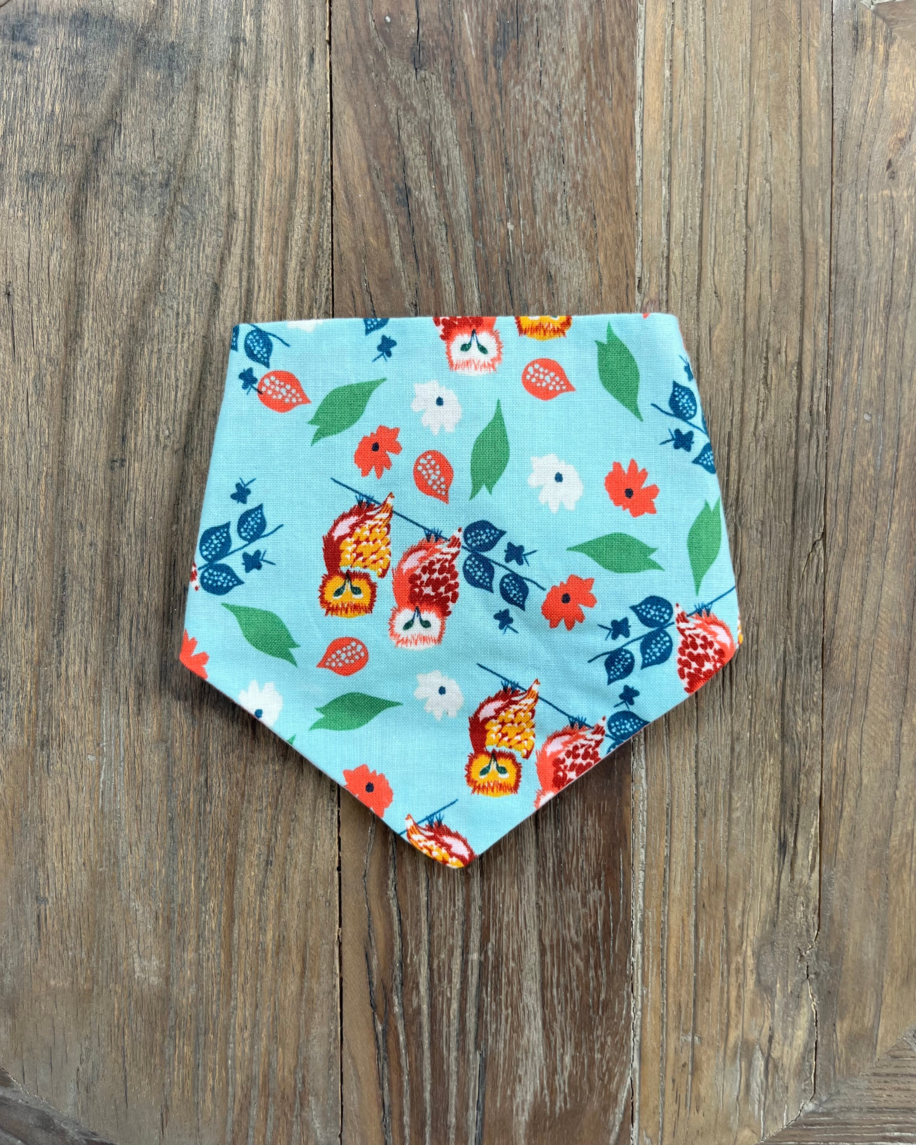 Twit Twoo Reversible Bandana