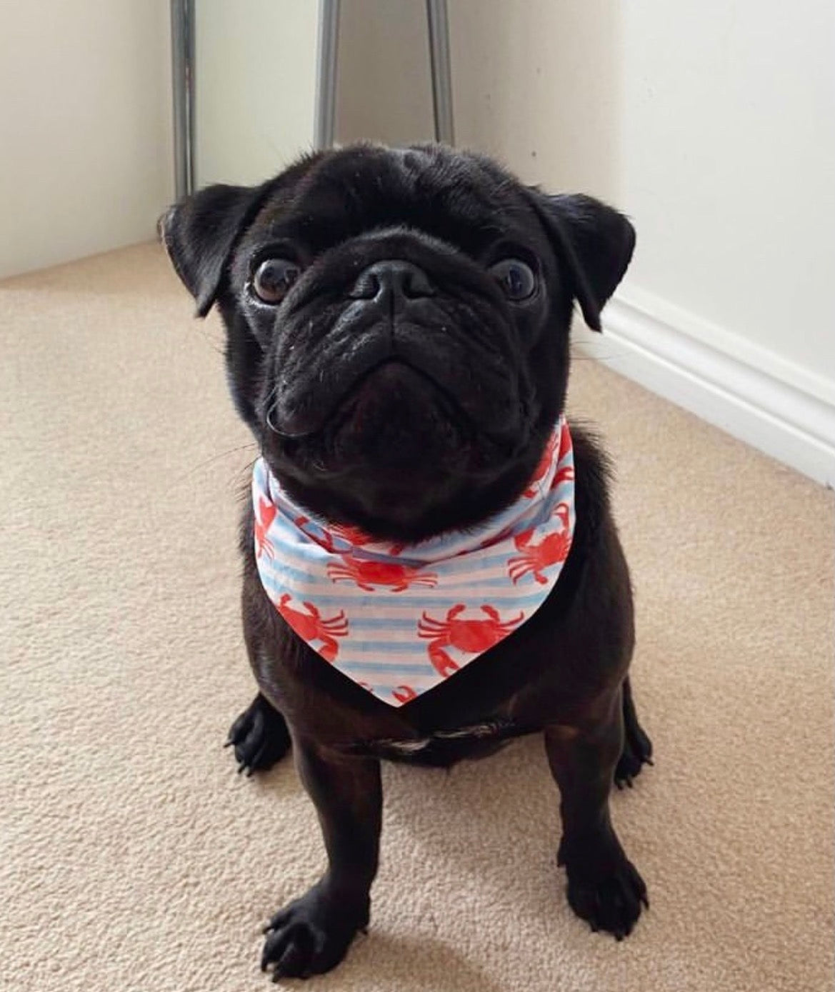 Life's a Beach Reversible Bandana