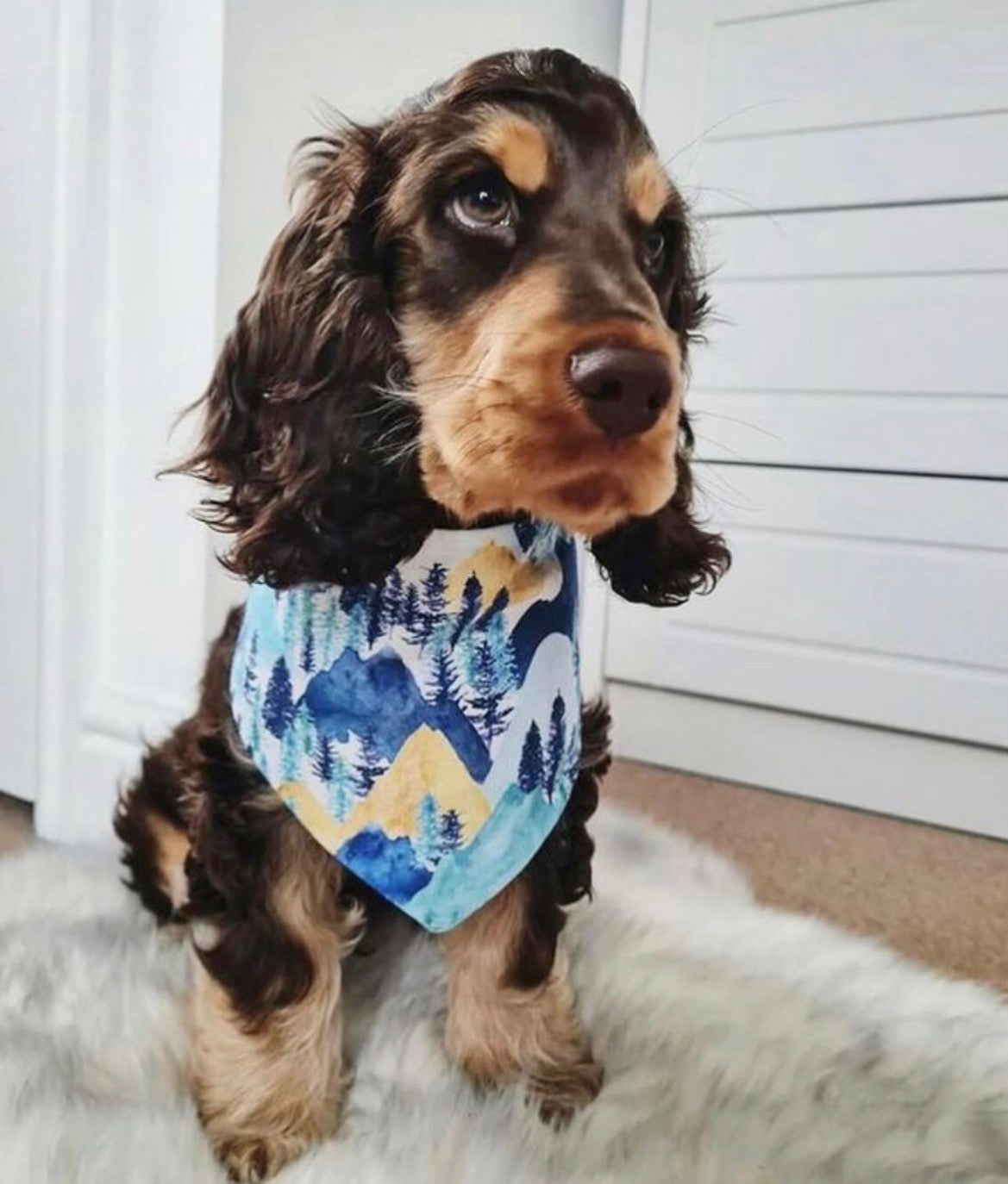 Woodland Walkies Reversible Bandana