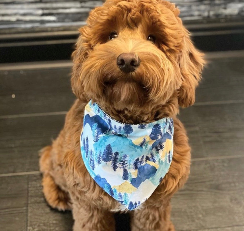 Woodland Walkies Reversible Bandana