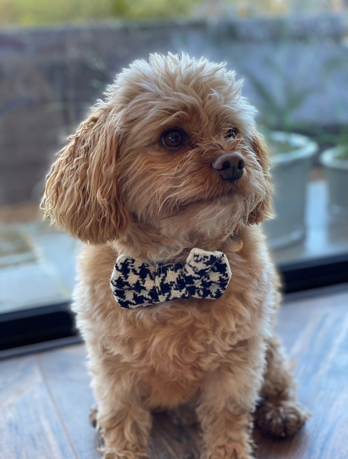 Houndstooth Tweed Bow Tie
